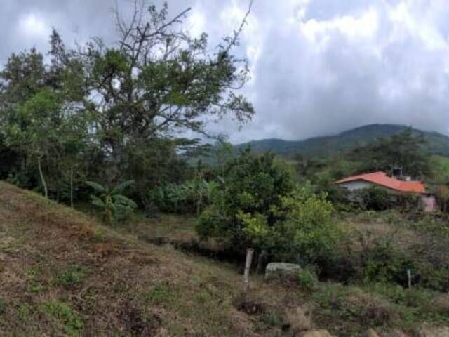#MT 034 - Quinta para Venta en San Juan de Rioseco - CUN - 3