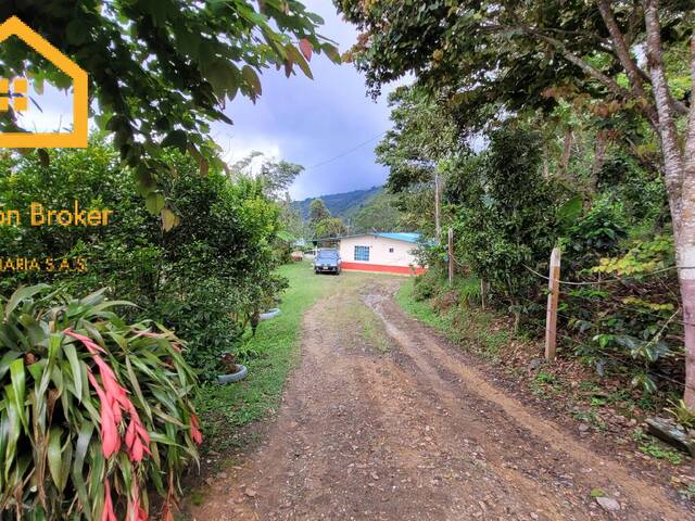 #ME 055 - Finca para Venta en Vianí - CUN - 3