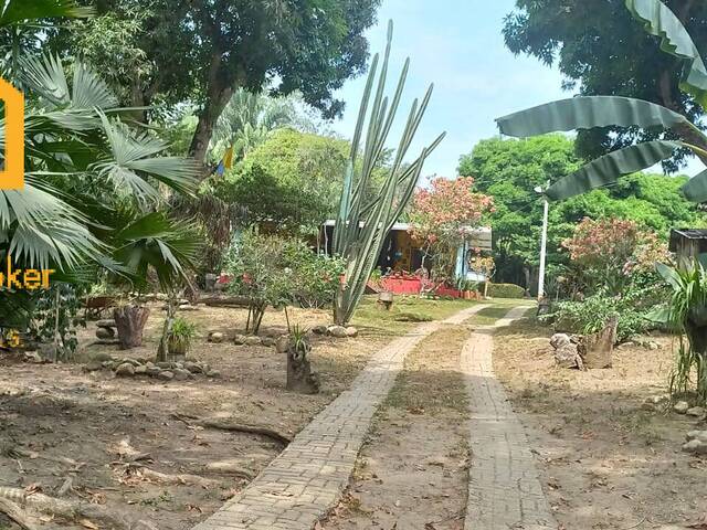 #MT 1197 - Quinta para Venta en Carmen de Apicalá - TOL - 3